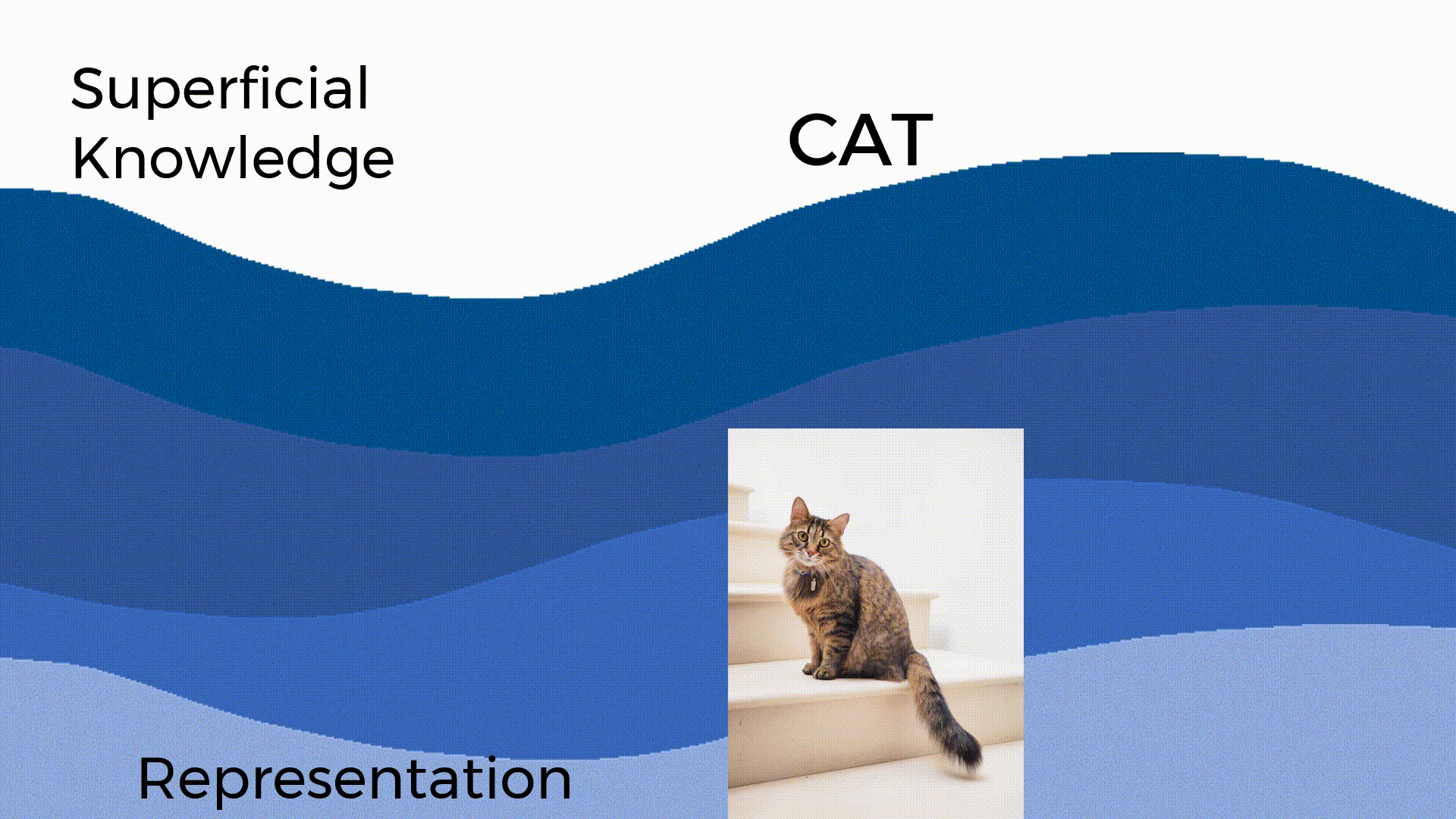 the letters "CAT" on the surface as superficial knowledge, but down in the water is a picture of a cat as a representation of reality